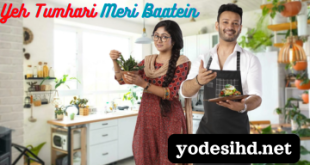 Ye Tumhari Meri Baatein Serial